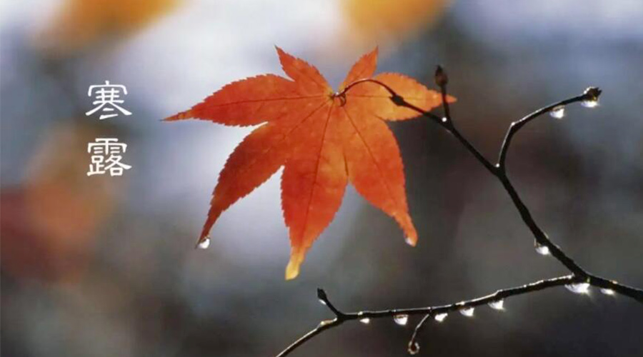 寒露時(shí)節(jié)！金環(huán)電器提醒大家要注意的事項(xiàng)