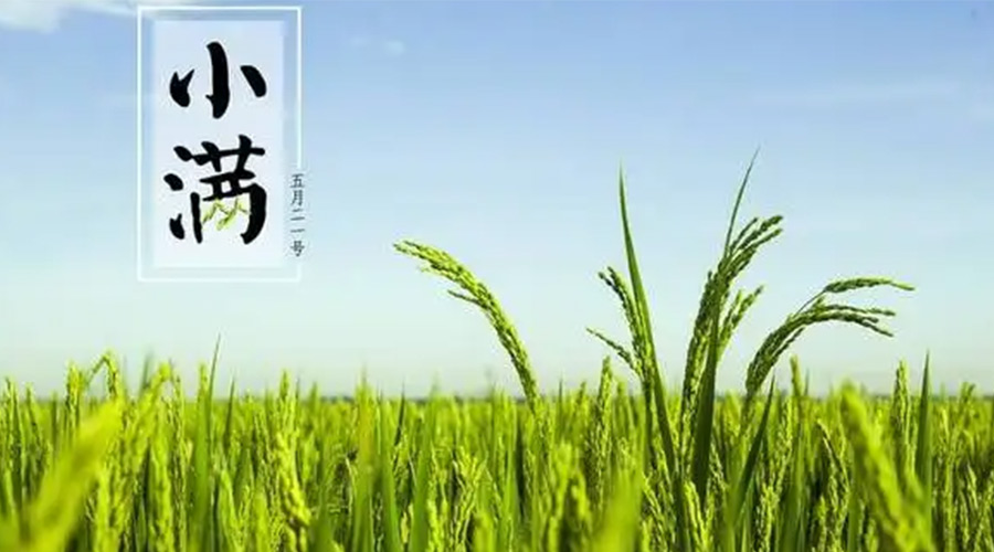小滿(mǎn)時(shí)節(jié)！金環(huán)電器提醒大家要注意的事項(xiàng)