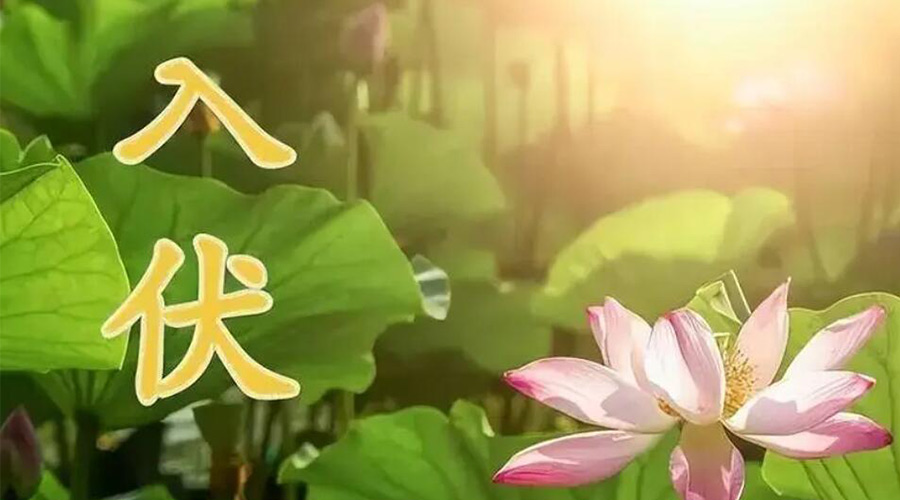 入伏天來襲！金環(huán)電器提醒大家要注意的事項(xiàng)