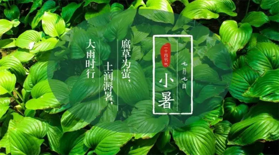 小暑時節(jié)來到！金環(huán)電器提醒大家要注意的事項
